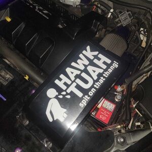 Hawk Tuah decal